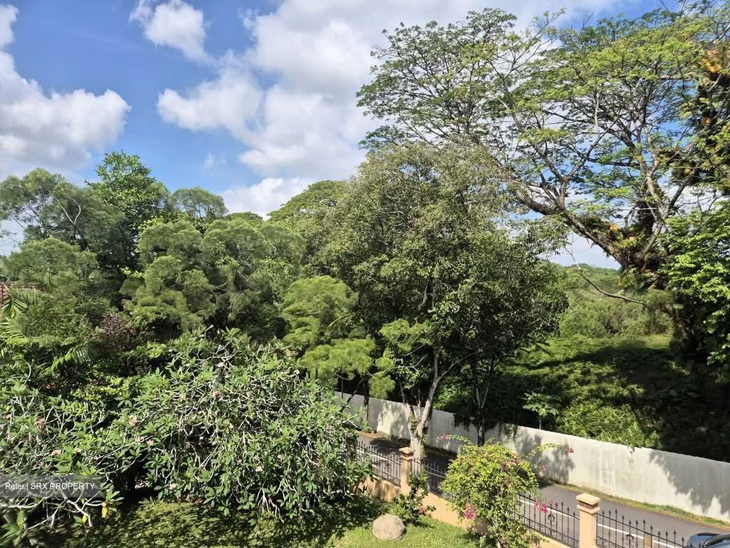 Capitol Park (D11), Detached #538005021
